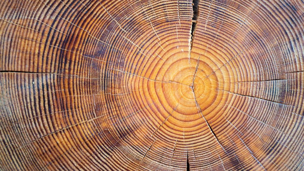 new-paper-2-200-year-tree-ring-and-lake-sediment-based-snowpack